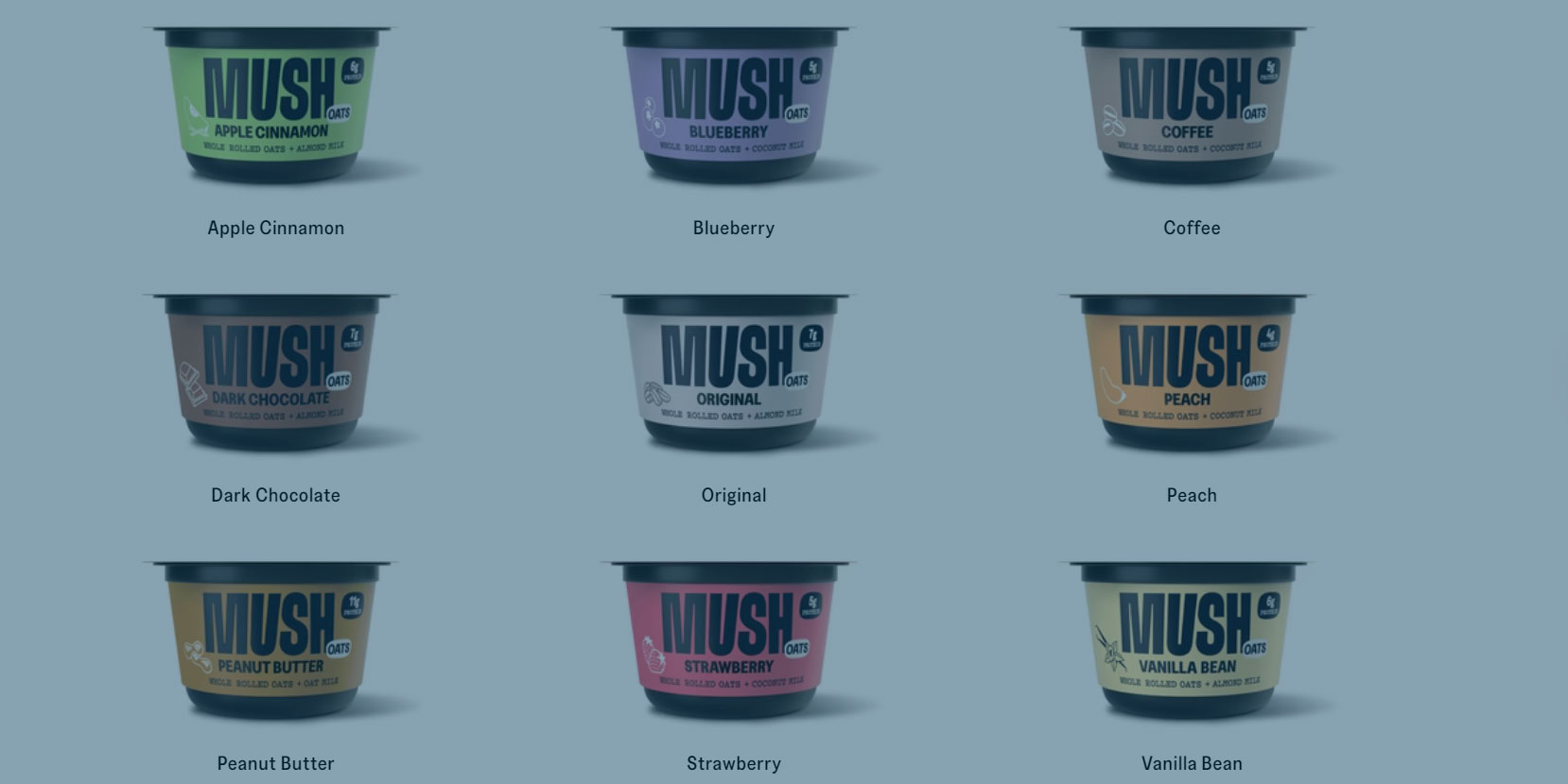 MUSH, NetSuite and Myers-Holum webinar