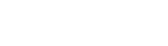 Oracle NetSuite Alliance Partner logo