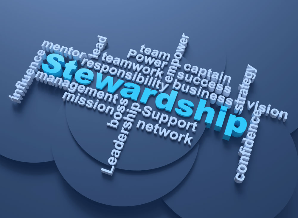 stewardship at Myers-Holum